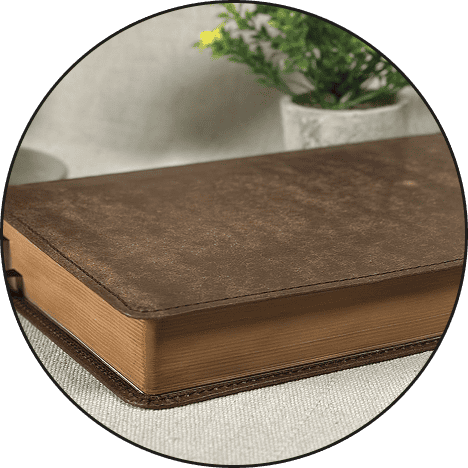 A leather-bound book on a wooden surface with a potted plant in the background.